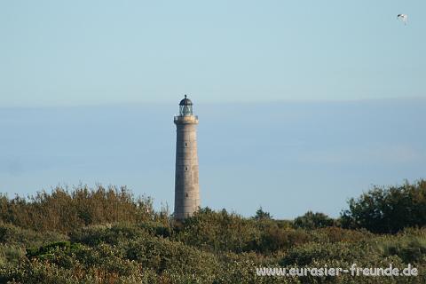 (Foto Goslar)_daenemark_2010_IMG_1059_Skagen_Nordstrand.jpg - Dnemarks nrlichste Stadt ist Skagen. Bei Grenen sagen sich Nord- und Ostsee guten Tag.